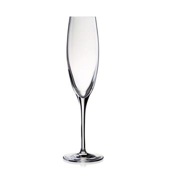 Champagneglas, Penelopé champagne, 17cl, 6st/fp
